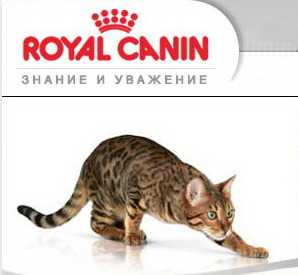    royal canin